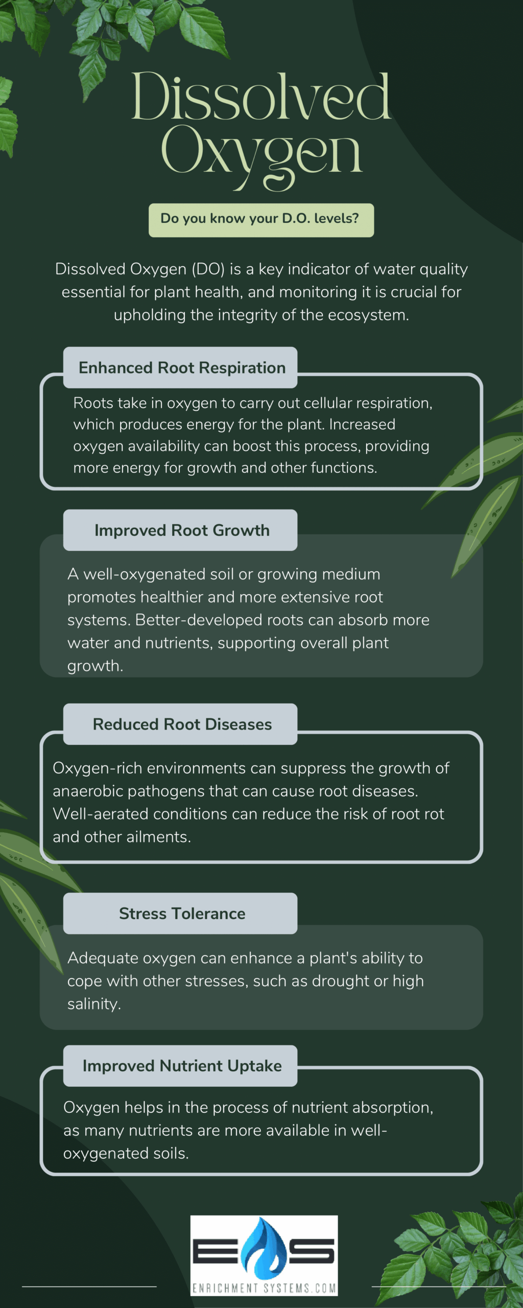 484ac2c8821745f3b759893f2df03522-1